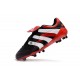 Zapatos de Fútbol adidas Predator Accelerator FG