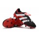 Zapatos de Fútbol adidas Predator Accelerator FG