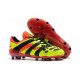 Zapatos de Fútbol adidas Predator Accelerator FG