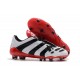 Zapatos de Fútbol adidas Predator Accelerator FG