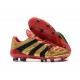 Zapatos de Fútbol adidas Predator Accelerator FG