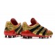 Zapatos de Fútbol adidas Predator Accelerator FG