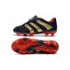 Zapatos de Fútbol adidas Predator Accelerator FG