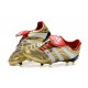 Zapatos de Fútbol adidas Predator Accelerator FG