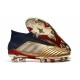 Zapatos de fútbol adidas Predator 19+ FG Oro Plata Rojo