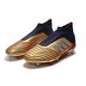 Zapatos de fútbol adidas Predator 19+ FG Oro Plata Rojo
