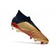 Zapatos de fútbol adidas Predator 19+ FG Oro Plata Rojo