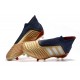 Zapatos de fútbol adidas Predator 19+ FG Oro Plata Rojo