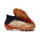 Botas de Futbol adidas Predator 19.1 FG Hombre Oro Plata Rojo