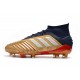 Botas de Futbol adidas Predator 19.1 FG Hombre Oro Plata Rojo