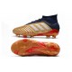 Botas de Futbol adidas Predator 19.1 FG Hombre Oro Plata Rojo