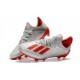 Zapatos de Futbol adidas X 19.1 FG Plata Rojo