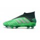 Zapatos de fútbol adidas Predator 19+ FG Verde Argento