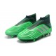 Zapatos de fútbol adidas Predator 19+ FG Verde Argento