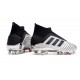 Zapatos de fútbol adidas Predator 19+ FG Argento Negro