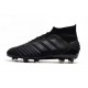 Botas de Futbol adidas Predator 19.1 FG Hombre Negro